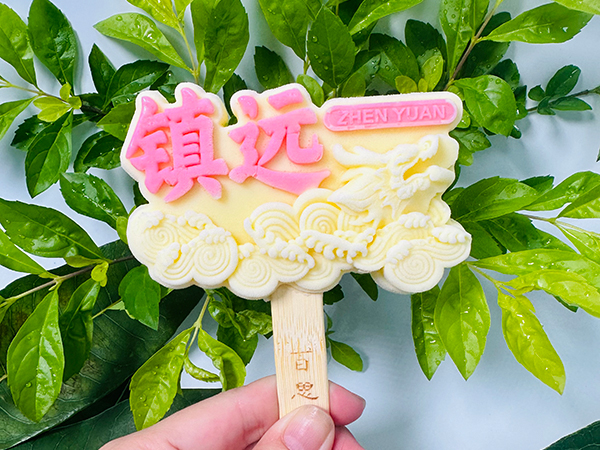 镇远龙舟